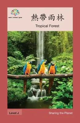 熱帶雨林: Tropický les - 熱帶雨林: Tropical Forest
