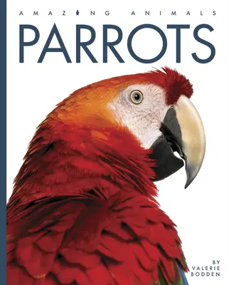Papagáje - Parrots