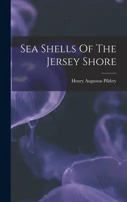 Morské mušle na pobreží Jersey - Sea Shells Of The Jersey Shore