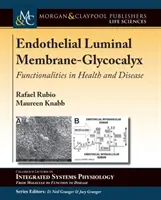 Endotelová luminálna membrána - glykokalyx: funkcie v zdraví a chorobe - Endothelial Luminal Membrane-Glycocalyx: Functionalities in Health and Disease