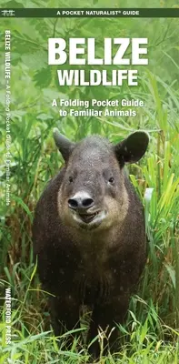 Divoká príroda Belize: Skládací vreckový sprievodca známymi živočíchmi - Belize Wildlife: A Folding Pocket Guide to Familiar Animals