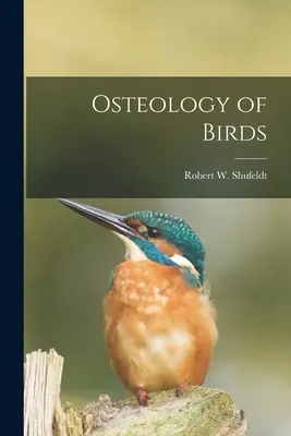 Osteológia vtákov - Osteology of Birds