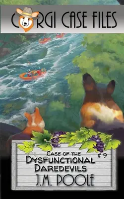 Prípad nefunkčných odvážlivcov - Case of the Dysfunctional Daredevils