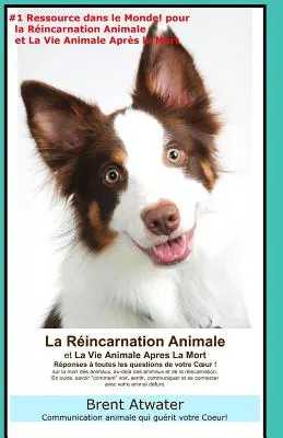 La Reincarnation Animales et La Vie Animale Apres La Mort: Odpovede na všetky otázky vašej duše! - La Reincarnation Animales et La Vie Animale Apres La Mort: Reponses a toutes les Questions de votre Coeur!