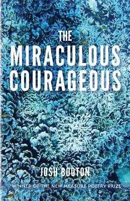 Zázračná odvaha - The Miraculous Courageous