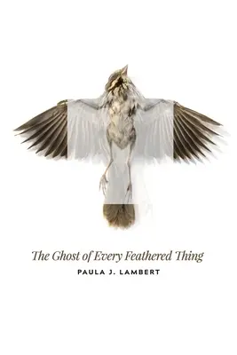 Duch každého operenca - The Ghost of Every Feathered Thing