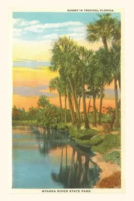Vintage Journal Západ slnka na tropickej Floride, štátny park Myakka River - Vintage Journal Sunset in Tropical Florida, Myakka River State Park