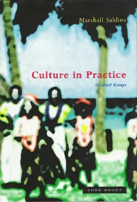 Kultúra v praxi: Vybrané eseje - Culture in Practice: Selected Essays