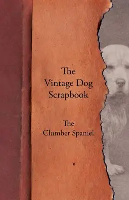 Historický album o psoch - Clumber španiel - The Vintage Dog Scrapbook - The Clumber Spaniel