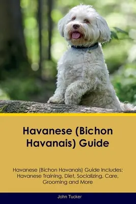Príručka havanského psíka (bišón havanský) Príručka havanského psíka obsahuje: Výcvik havanského psíka, výživa, socializácia, starostlivosť, starostlivosť a ďalšie informácie - Havanese (Bichon Havanais) Guide Havanese Guide Includes: Havanese Training, Diet, Socializing, Care, Grooming, and More