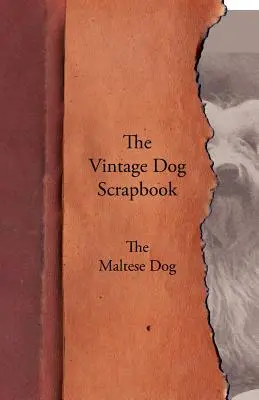 Historický album o psoch - Maltézsky psík - The Vintage Dog Scrapbook - The Maltese
