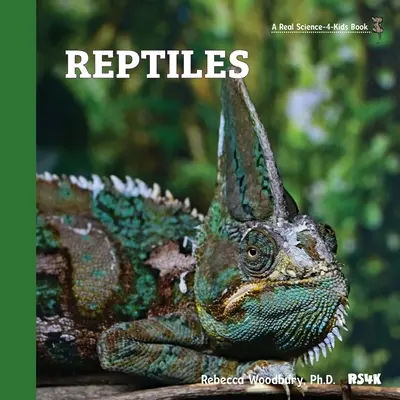 Plazy - Reptiles