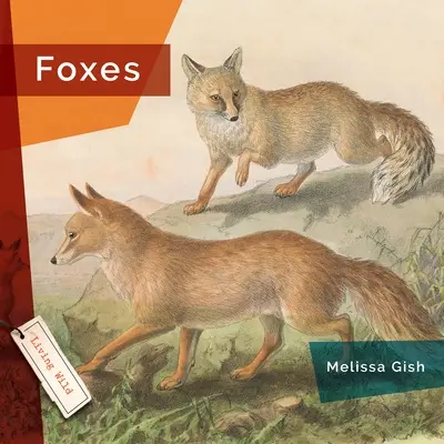 Líšky - Foxes