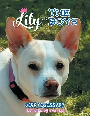 Lily a chlapci - Lily and The Boys