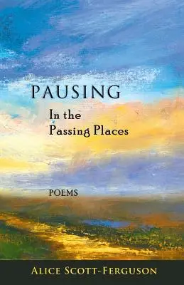 Zastavenie na pominuteľných miestach: Básne - Pausing in the Passing Places: Poems