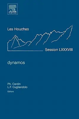 Dynamos: Zápisky z prednášok letnej školy v Les Houches 2007 - Dynamos: Lecture Notes of the Les Houches Summer School 2007