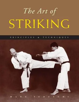 Umenie úderov: Princípy a techniky - The Art of Striking: Principles & Techniques