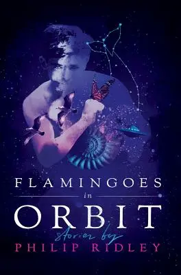 Plameniaky na obežnej dráhe - Flamingoes in Orbit