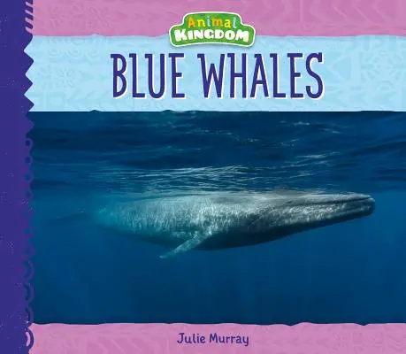 Modré veľryby - Blue Whales