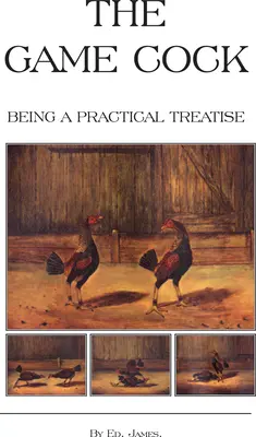 The Game Cock - Being a Practical Treatise on Breeding, Reeding, Training, Feeding, Trimming, Mains, Heeling, Spurs, Etc. (História kohútích zápasov) - The Game Cock - Being a Practical Treatise on Breeding, Rearing, Training, Feeding, Trimming, Mains, Heeling, Spurs, Etc. (History of Cockfighting Ser