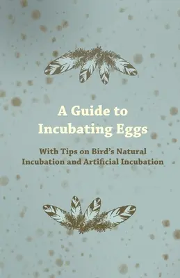 Sprievodca inkubáciou vajec - s tipmi na prirodzenú a umelú inkubáciu vtákov - A Guide to Incubating Eggs - With Tips on Bird's Natural Incubation and Artificial Incubation