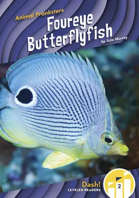 Štvoroký motýľ - Foureye Butterflyfish