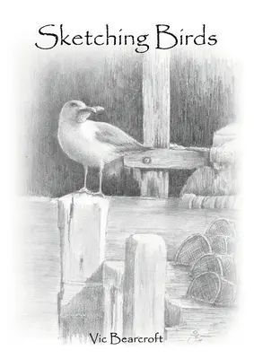 Skicovanie vtákov - Sketching Birds