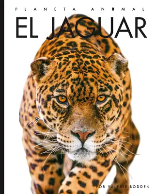 Jaguár - El Jaguar