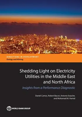 Vrhnutie svetla na elektrické služby na Blízkom východe a v severnej Afrike: poznatky z diagnostiky výkonnosti - Shedding Light on Electricity Utilities in the Middle East and North Africa: Insights from a Performance Diagnostic