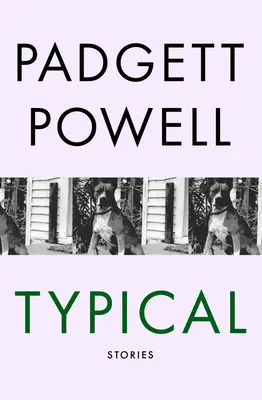 Typické: Príbehy - Typical: Stories
