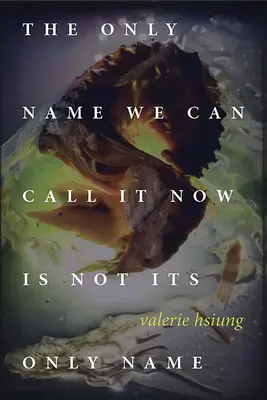 Jediné meno, ktorým ju teraz môžeme nazvať, nie je jej jediné meno - The Only Name We Can Call It Now Is Not Its Only Name