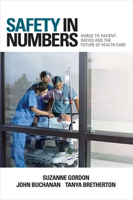 Bezpečnosť v číslach - Safety in Numbers