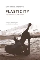 Plasticita: Prísľub explózie - Plasticity: The Promise of Explosion