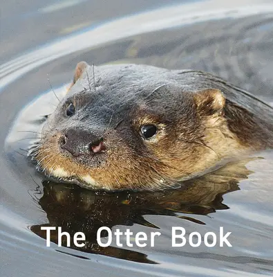 Kniha o vydre - Otter Book