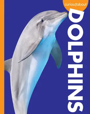 Zvedavosť na delfíny - Curious about Dolphins