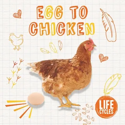 Z vajíčka na kurča - Egg to Chicken