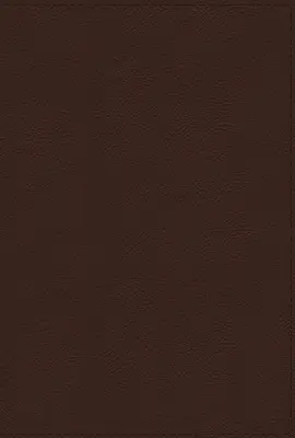Nrsvue, Svätá Biblia s apokryfmi, Leathersoft, hnedá, Comfort Print - Nrsvue, Holy Bible with Apocrypha, Leathersoft, Brown, Comfort Print