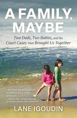Rodina, možno: Dvaja otcovia, dve deti a súdne prípady, ktoré nás spojili - A Family, Maybe: Two Dads, Two Babies, and the Court Cases That Brought Us Together