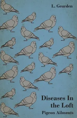 Choroby v podkroví - Holubie choroby - Diseases In the Loft - Pigeon Ailments