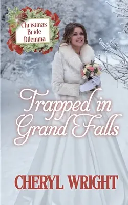 V pasci v Grand Falls - Trapped in Grand Falls