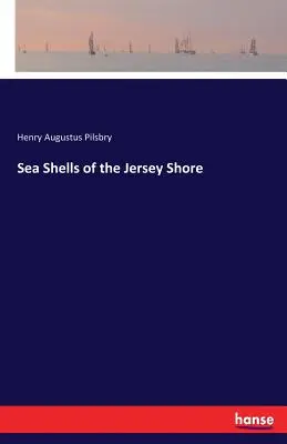 Mušle na pobreží Jersey - Sea Shells of the Jersey Shore