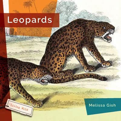 Leopardy - Leopards