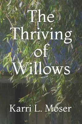 Rozkvet vŕb - The Thriving of Willows