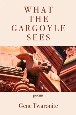 Čo vidí chrlič - What the Gargoyle Sees