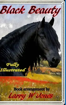 Čierna kráska - Black Beauty