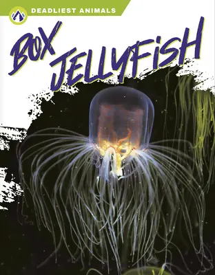 Medúza škatuľová - Box Jellyfish