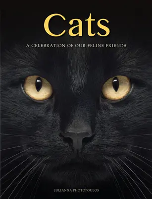 Mačky: Oslava našich mačacích priateľov - Cats: A Celebration of Our Feline Friends