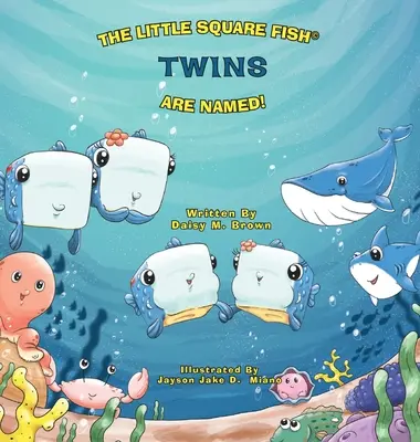 Dvojičky štvorcových rýb majú meno - The Little Square Fish Twins Are Named