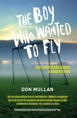 Chlapec, ktorý chcel lietať - The Boy Who Wanted To Fly