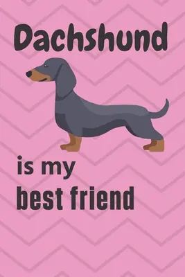 Môj najlepší priateľ je jazvečík: Pre fanúšikov jazvečíka - Dachshund is my best friend: For Dachshund Dog Fans